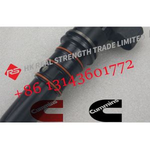 Common Rail Diesel Fuel NT855 NTA855 Injector 3071497 3064457 3071494 For