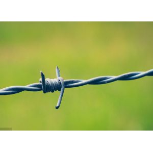 Use Of Prison Walls 50kg Double Strand Reverse Twist Electro Barbed Wire Roll