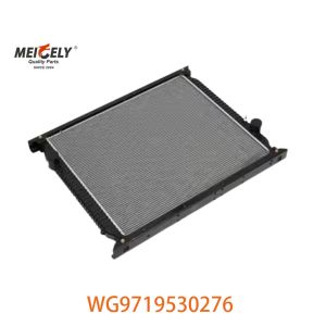 Original WG9719530276 Radiator Assembly WG9725530270 Fit For HOWO Truck