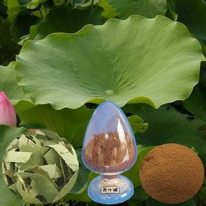 Lotus Leaf Extract/Nelumbo Nucifera Extract/Folium Nelumbinis Extract