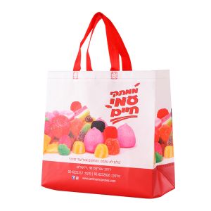 120GSM Laminated Non Woven Bag