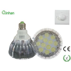 Quality PAR38 E27 / E26 12W AC 110 / 240V Dimmable LED Spotlight QH-P38DS-1W12B for sale