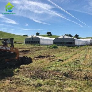 Full Automatic Blackout Light Deprivation Greenhouse For Medical Plants Growing