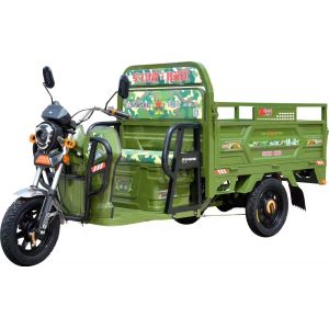 Quality Electric Dump 1 Ton 800 Watt Adult Cargo Tricycle for sale