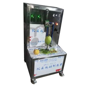 China Pineapple Peeling Machine/ Fruit Peeler Machine/ Manul Pineapple Peeling Machine on sale
