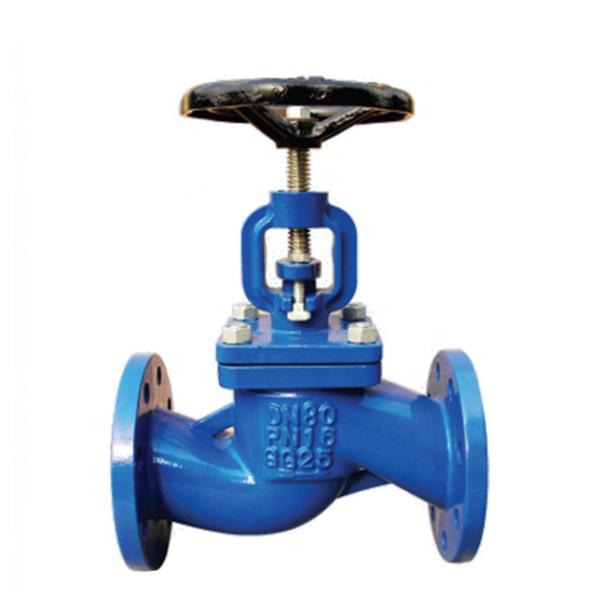 API Standard Cast Iron Globe Valve , Flanged Globe Valve For Chemical / Natural