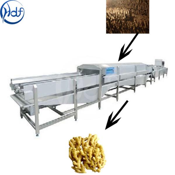 Buy Ginger cleaning machine taro cleaning machine bubble cleaning line at wholesale prices