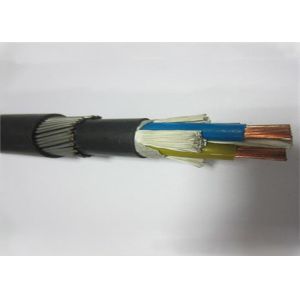 2 Core Strand Circular Conductor LV Multi Core Armoured Cable With BS Standard