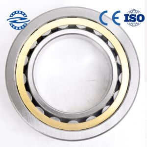 China Brass Cage Bearings cylindrical roller bearing  OF NU / NJ203 bearing on sale