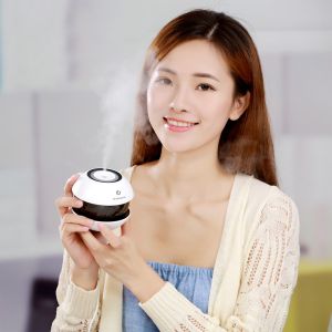 Professional Night Light Colorful Portable Air Humidifier for Car and Home Oil