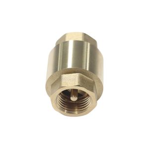 Forged Check Valve 1/4"-4" NPT / BSP Thread OEM Avaliable