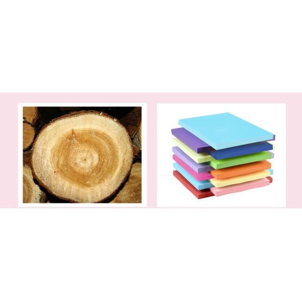 200gsm 220gsm 230gsm Coloured Cardboard Sheet For Clothes Tag Making 200gsm 220gsm 230gsm Coloured Cardboard Sheet For Clothes Tag Making