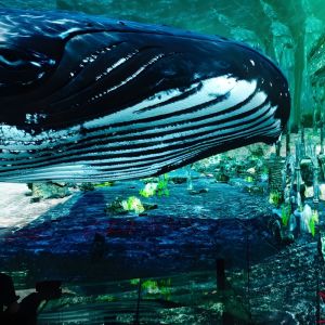 Museum Simulator Cinema 3D Cinema Experience Led Screen Immersive