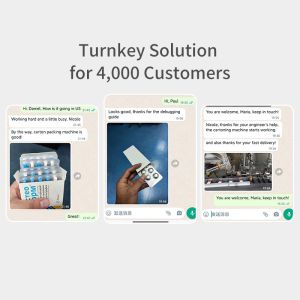 Packing Cartoning Machine Automatic Cartoner For Packaging Sachet Antigen