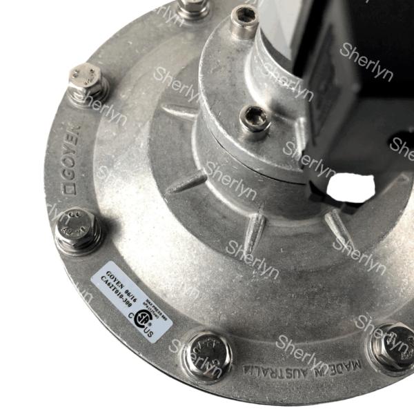 GOYEN Electromagnetic Pulse Valve CA62T 2 1/2 Right Angle Type Suitable Diaphragm K5004 K5000