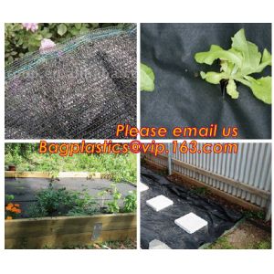 Agricultural Mulching Film Used for Fruit, Flower and Vegetable