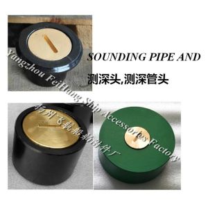 Stainless steel sounding head A100 CB/T3778-99