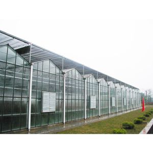 Backyard Multi Span Greenhouse Outdoor Rainproof Large Glass Greenhouse