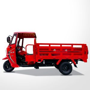 50*100 Chassis Three Wheeler Cargo Transport Gas Motor Tricycle with Manufacturi