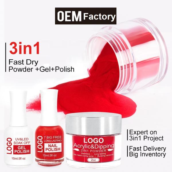 Premium Quality High Matching 3 in 1 Acrylic Powder Match Gel Polish and Nail Lacquer for Nail Art Beauty