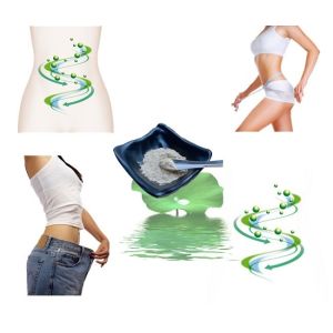 Nuciferine Lotus Leaf Extract Powder 50% Relieve Intestinal Poisoning