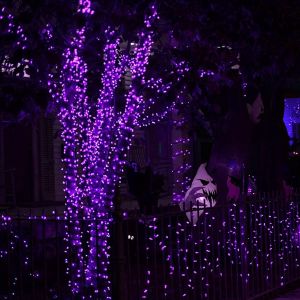Purple Bright Copper Wire Battery Operated Waterproof Lights Christmas