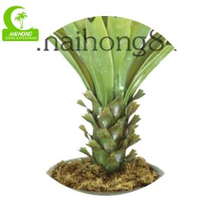 Height 90cm Artificial Succulent Plant