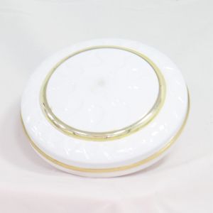 Household 12V Dc Remote Control Blade Ceiling Fan With Adapter