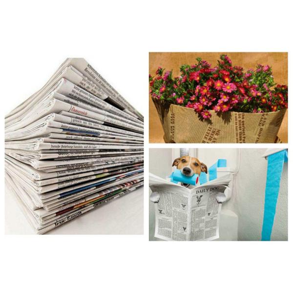 48.8gsm 50gsm 53gsm Smooth Uncoated Journal Paper For Newspaper Serial pictures