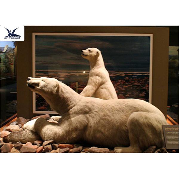 Buy Life Size Artificial	Animatronic Animals Model Power 50/60 Hertz For Water Park at wholesale prices