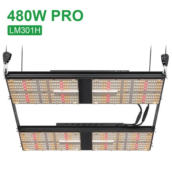 1248umol/s LM301H LED Grow Light