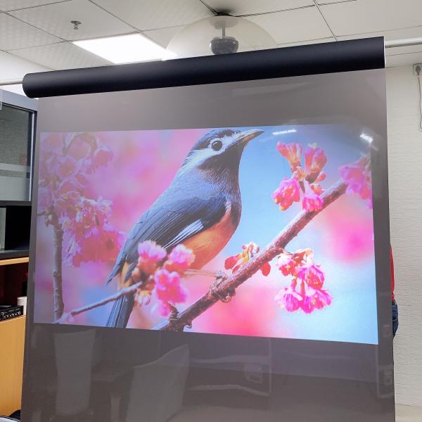 Window Advertising transparent holographic film clear rear projection film with