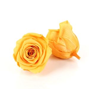 DIY Golden Yellow Rose Flower Heads 4-5cm For Indoor Decoration
