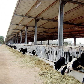 Industrial Modular Steel Frame Building Complex Steel Frame Building For