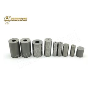 HIP Sintered Tungsten Carbide Dies