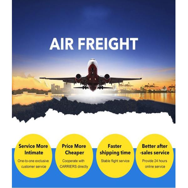 China To Europe Sea Express Courier Freight Forwarder DDP