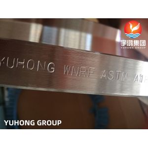 ASTM A182 F321 Stainless Steel Flange WNRF