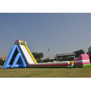 Customized Inflatable Giant Slide Recreational Hippo Animal Theme Design With