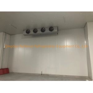 Blast Freezer Cold Room with Air Cooling Method and Compressor Refrigeration