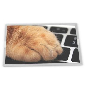 Quality ODM Custom 20.1-Inch WLED LCD Display Module LTM201M1-L01 High Resolution 1680*1050 Specific Modules for Custom Applications for sale