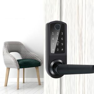 Intelligent Biometric Smart Fingerprint Lock App Controlled DC6V