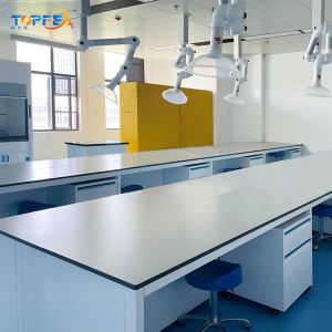 Customized Laboratory Work Benches 200-250 Kg Load Capacity and Customizable
