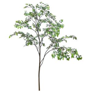 Custom Corner Artificial Ficus Tree Space Decoration Minimalist Style