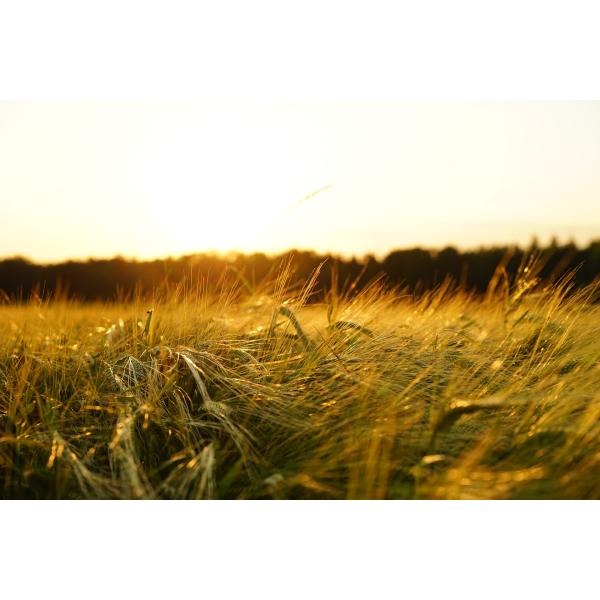 Steel And Copper Inlaid Bronze Gleitlager Bearings For Metallurgical Machinery