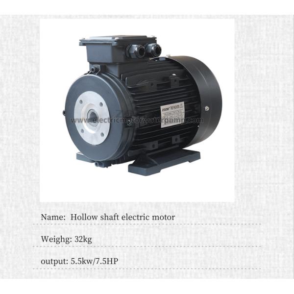 hollow shaft electric motor