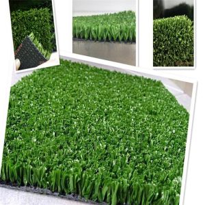 Residential Putting Green Outdoor Playground Equipment