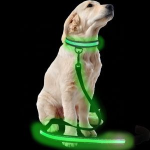 Custom Popular Large LED Dog Collar , Flashing Long Dog Leash For Pet Walk