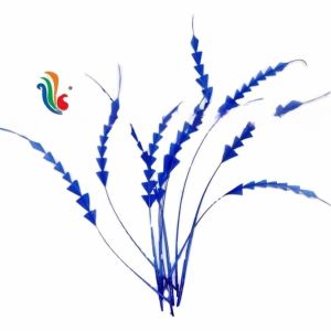 Quality Dyed Stripped Rooster Coque Feathers with Fast Shipping via DHL UPS FEDEX EMS TNT for sale