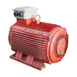 IP55 Single Phase Induction AC Motor 0.37kw - 1000kw Three Phase Electric Motor