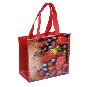ODM 40x32x12cm 25kg 80gsm Laminated Woven Polypropylene Bags